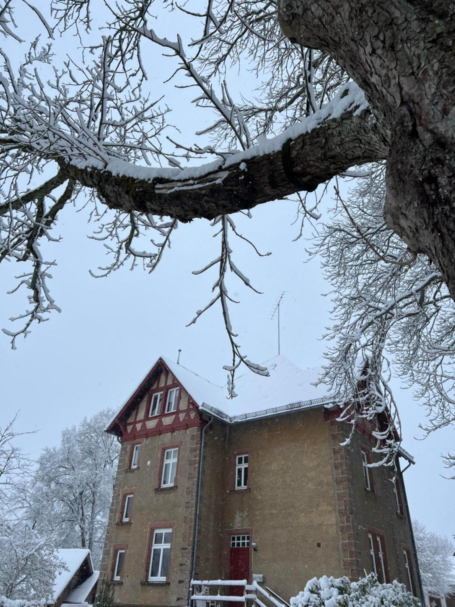 L' Extravagante Im Garten Von Schloss Schmidtheim 外观 照片
