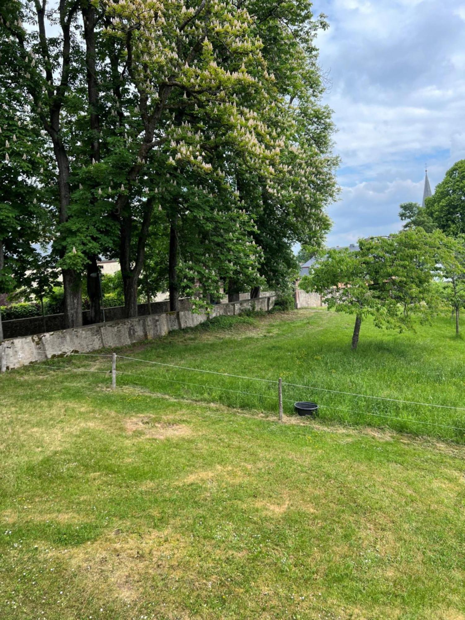 L' Extravagante Im Garten Von Schloss Schmidtheim 外观 照片