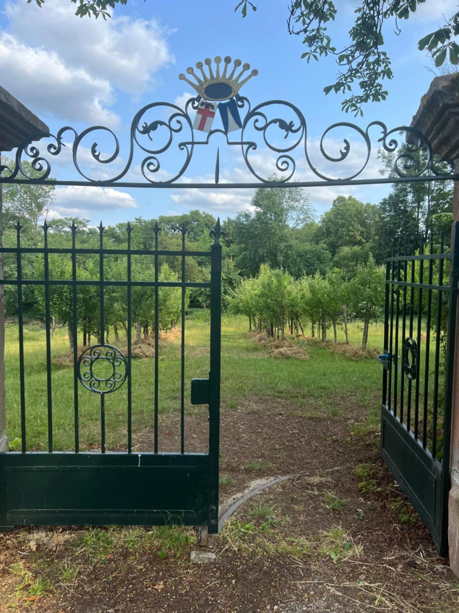 L' Extravagante Im Garten Von Schloss Schmidtheim 外观 照片