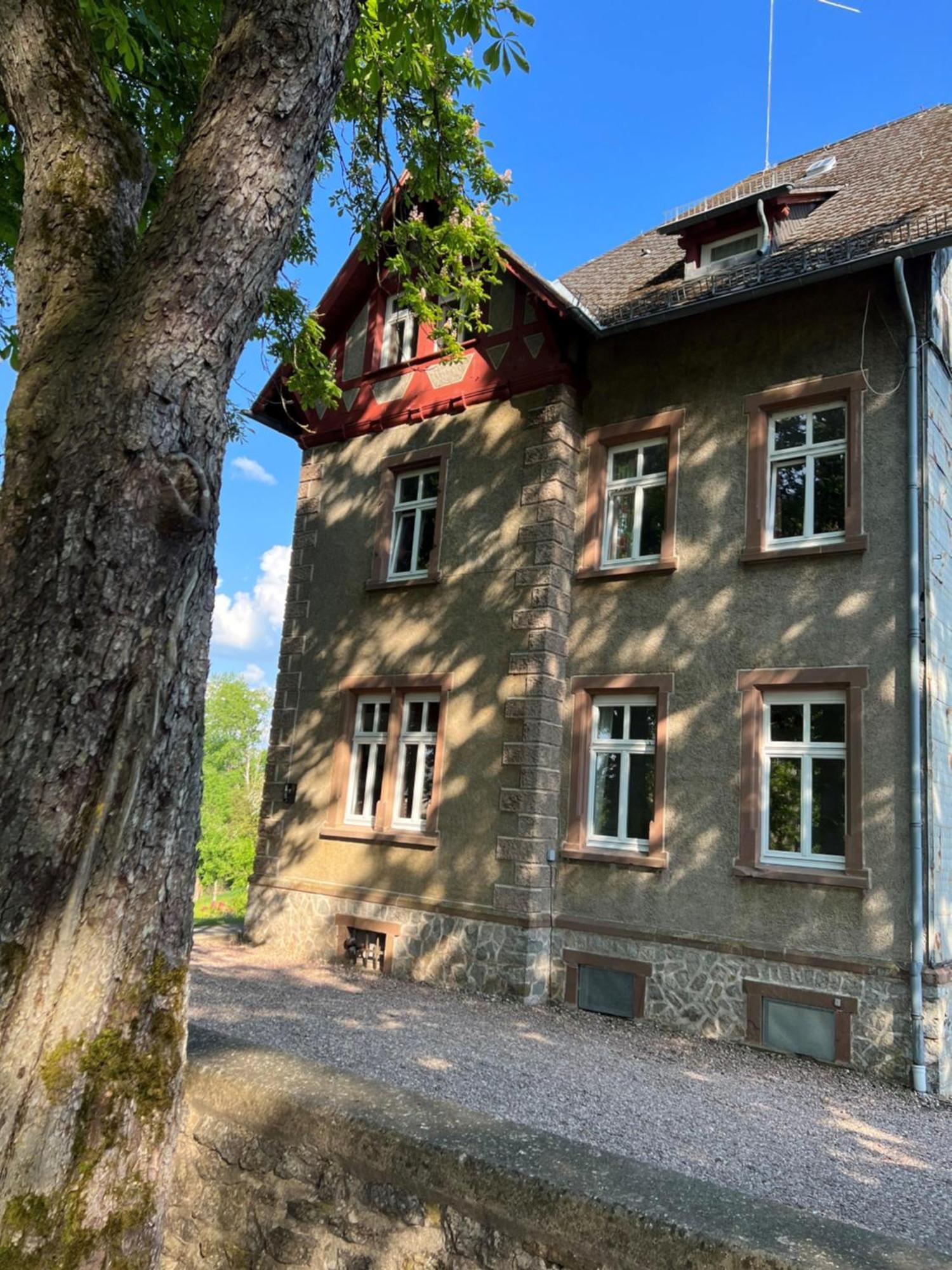 L' Extravagante Im Garten Von Schloss Schmidtheim 外观 照片